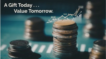 What Are Capital Gains? Explained Without Jargon