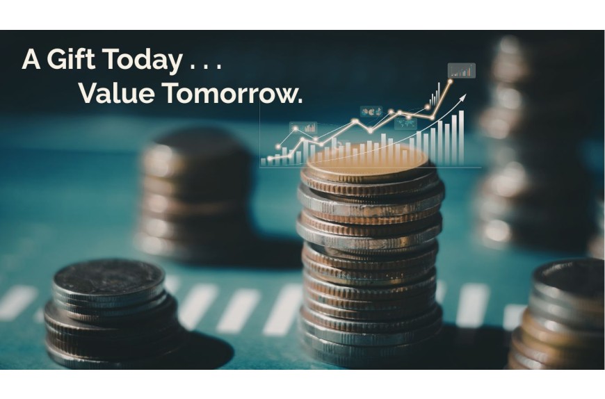 What Are Capital Gains? Explained Without Jargon