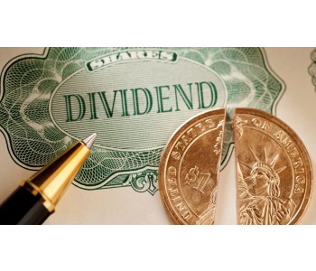 What is a DRIP? How Dividend Reinvestment Plans Work