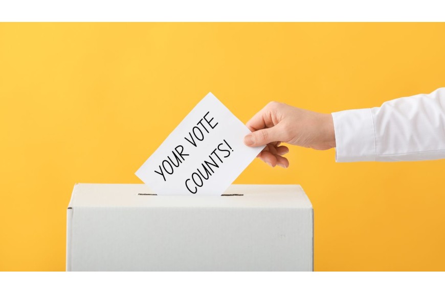 What is a Voter Proxy? Participating in Company Decisions as a Shareholder What is a Voter Proxy? Participating in Company Decisions as a Shareholder