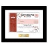 Anthropic - Replica Stock Certificate