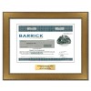 Barrick Gold Stock - One Share Barrick Gold Stock - One Share