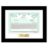 British Petroleum Stock - One Share British Petroleum Stock - One Share
