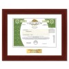 Canopy Growth - Replica Stock Certificate Canopy Growth - Replica Stock Certificate