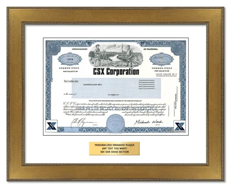 CSX Stock - One Share