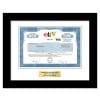 eBay Stock - One Share