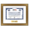 GameStop - Replica Stock Certificate GameStop - Replica Stock Certificate