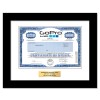 GoPro - Replica Stock Certificate GoPro - Replica Stock Certificate