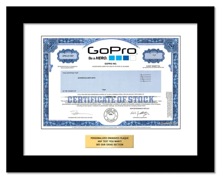 GoPro Stock - One Share