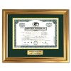 Green Bay Packers - Replica Stock Certificate