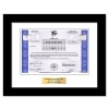Hasbro - Replica Stock Certificate Hasbro - Replica Stock Certificate
