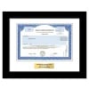 Iridium - Replica Stock Certificate
