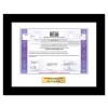 Lionsgate - Replica Stock Certificate Lionsgate - Replica Stock Certificate