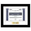 Lucid - Replica Stock Certificate Lucid - Replica Stock Certificate