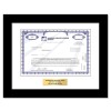 Madison Square Garden Sports - Replica Stock Certificate Madison Square Garden Sports - Replica Stock Certificate