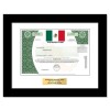 Mexico Fund - Replica Stock Certificate Mexico Fund - Replica Stock Certificate