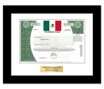 Mexico Fund Stock - One Share