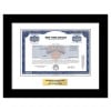 NY Knicks (MSG Sports) Stock - One Share NY Knicks (MSG Sports) Stock - One Share