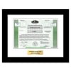 Papa Johns Pizza Stock - One Share Papa Johns Pizza Stock - One Share