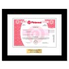 Pinterest Stock - One Share Pinterest Stock - One Share