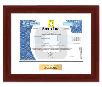 Snap Stock - One Share