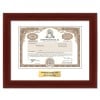 United Parcel Service Stock - One Share United Parcel Service Stock - One Share