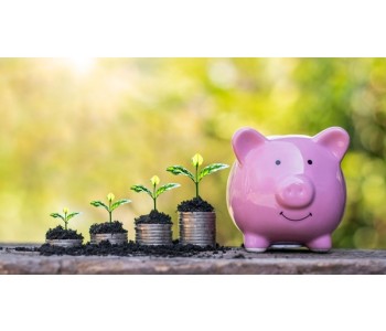 How to Start Investing with One Share: The Simple Way to Begin