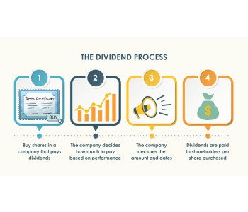 What is a Dividend? A Simple Explanation for Beginners