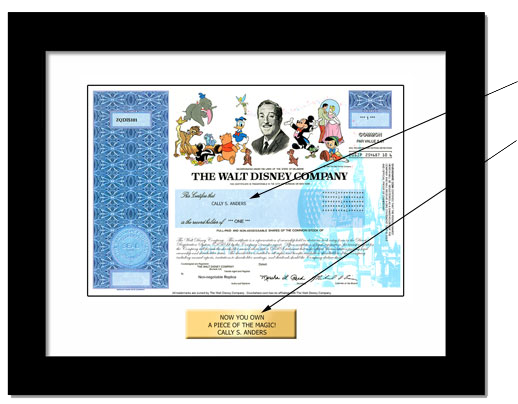 framed disney stock with arrows to personalization