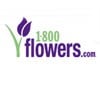 1-800-Flowers Logo