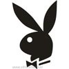 Playboy Logo