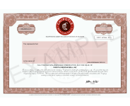 Custom Stock Certificate Design