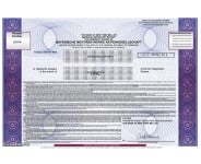 BMW - Replica Stock Certificate