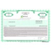 British Petroleum Stock - One Share British Petroleum Stock - One Share
