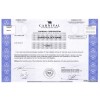 Carnival Stock - One Share Carnival Stock - One Share