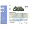 CitiGroup Stock - One Share CitiGroup Stock - One Share