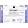Goldman Sachs - Replica Stock Certificate Goldman Sachs - Replica Stock Certificate