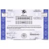 Hasbro - Replica Stock Certificate Hasbro - Replica Stock Certificate