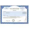 Iridium - Replica Stock Certificate Iridium - Replica Stock Certificate