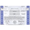 JPMorgan - Replica Stock Certificate JPMorgan - Replica Stock Certificate