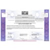 Lionsgate - Replica Stock Certificate Lionsgate - Replica Stock Certificate