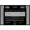 LVMH Stock - One Share (Not Sellable) LVMH Stock - One Share (Not Sellable)