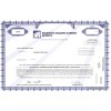 Madison Square Garden Sports - Replica Stock Certificate Madison Square Garden Sports - Replica Stock Certificate