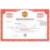Manchester United - Replica Stock Certificate Manchester United - Replica Stock Certificate