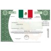 Mexico Fund - Replica Stock Certificate Mexico Fund - Replica Stock Certificate