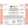 MGM Resorts - Replica Stock Certificate MGM Resorts - Replica Stock Certificate