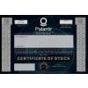 Palantir Stock - One Share Palantir Stock - One Share