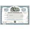 Playboy Enterprises Collectible Stock Certificate Playboy Enterprises Collectible Stock Certificate