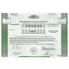 Rocky Mountain Chocolate Factory Stock - One Share Rocky Mountain Chocolate Factory Stock - One Share