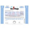 Six Flags - Replica Stock Certificate Six Flags - Replica Stock Certificate